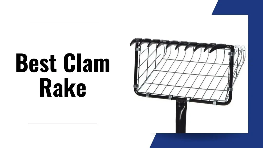 Best Clam Rake