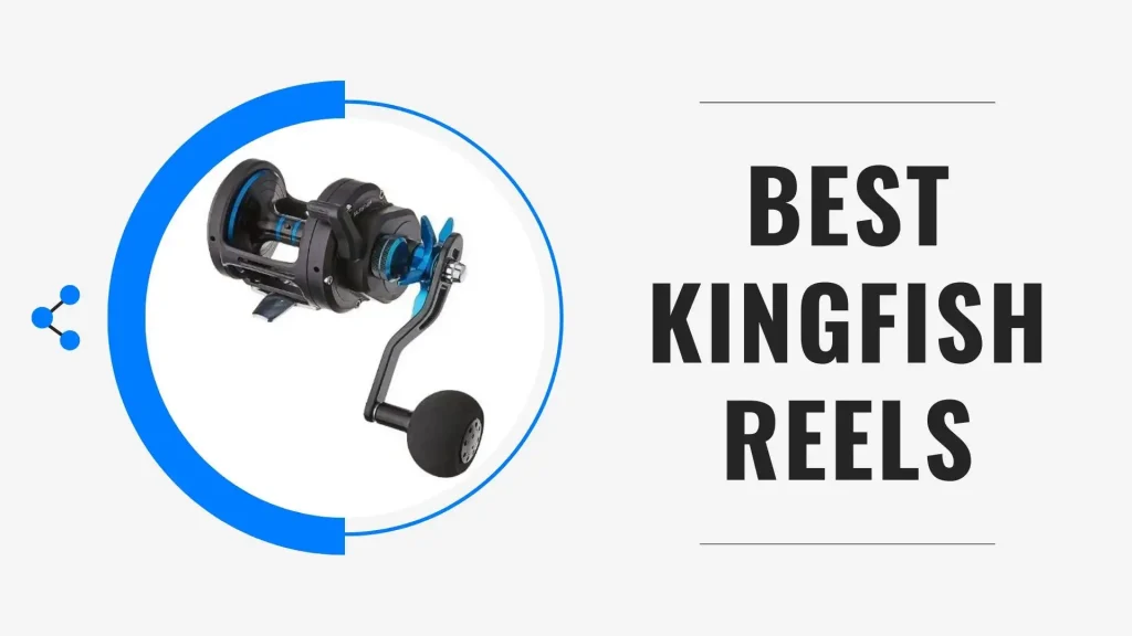 Best Kingfish Reels
