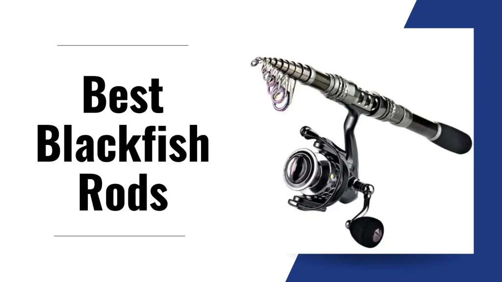 Best Blackfish Rods